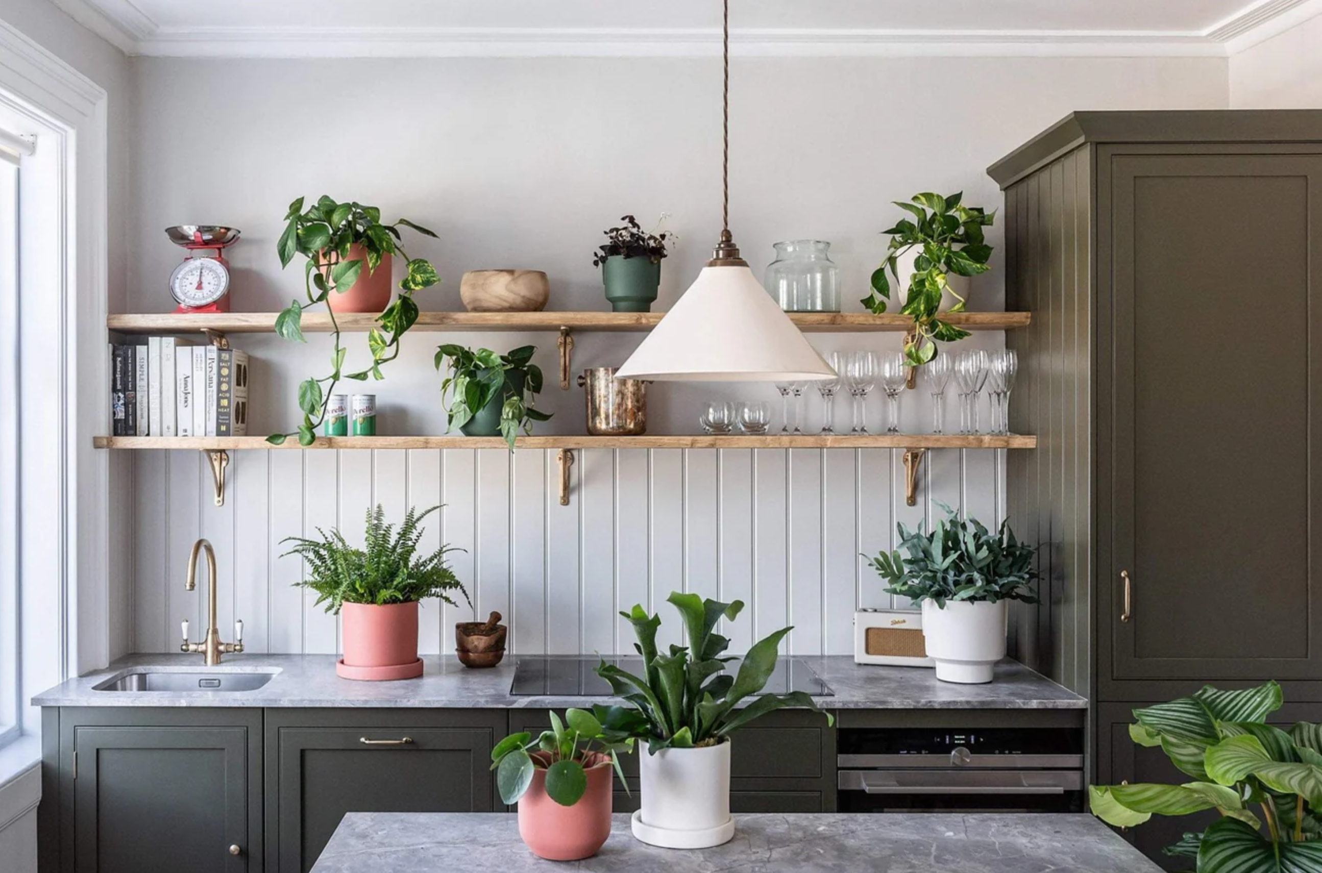 Biophilic Kitchen Design, a organic kitchen with live plants and lots of natural light, dark green cabinets, open raw wood shelving, marble countertops